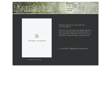 Tablet Screenshot of billmoranstudios.com